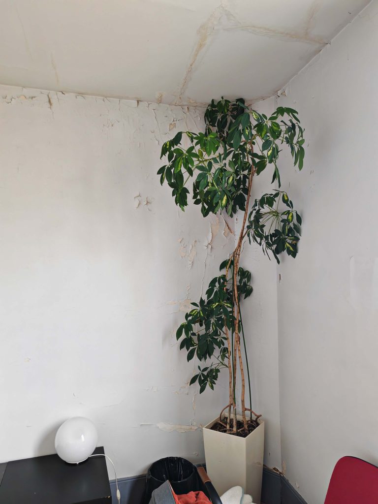 Mur fissuré avant rénovation suite à un dégât des eaux, avec traces visibles sur la peinture.