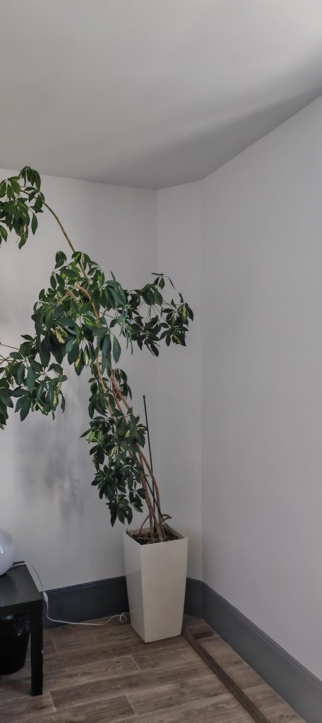 Mur rénové et repeint en blanc après traitement des fissures dues à un dégât des eaux. Chantier réalisé par l'entreprise Aedifici'hom et son dirigeant Nicolas DORLGER, contractant général du bâtiment.